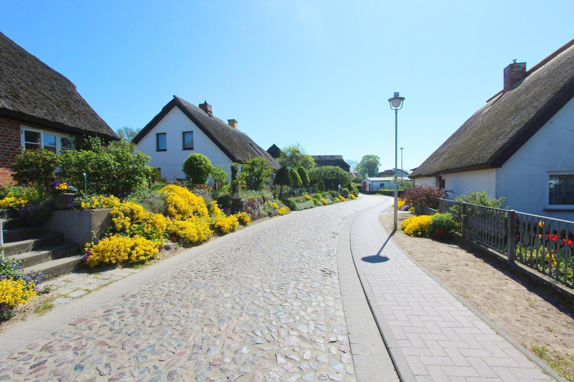 Ferienhaus Distelfink Fewo 04 Terrasse, Meerblick Groß Zicker Esterno foto